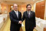 101013_BILATERAL MEETING BRUNEI AND MYNMAR