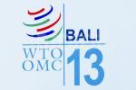 WTO LOGO 