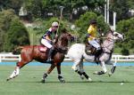 AHA_SG_POLO_02