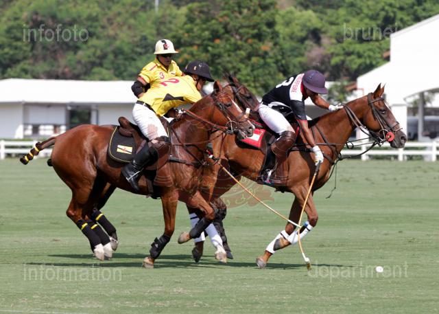 AHA_SG_POLO_04