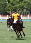 AHA_SG_POLO_07