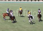 AHA_SG_POLO_06