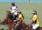 AHA_SG_POLO_07