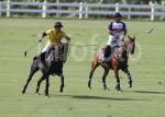 AHA_SG_POLO_09