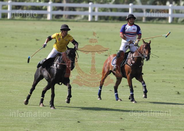 AHA_SG_POLO_09