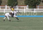 AHA_SG_POLO_11