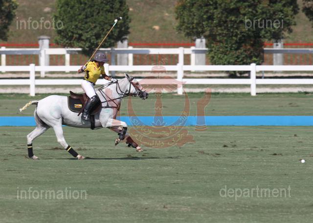 AHA_SG_POLO_11