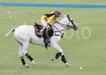 AHA_SG_POLO_12