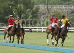 AHA_SG_POLO_17