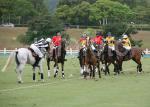 AHA_SG_POLO_19