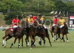 AHA_SG_POLO_20