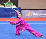 INFODEPT17_WUSHU4