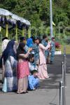 INFODEPT02-17