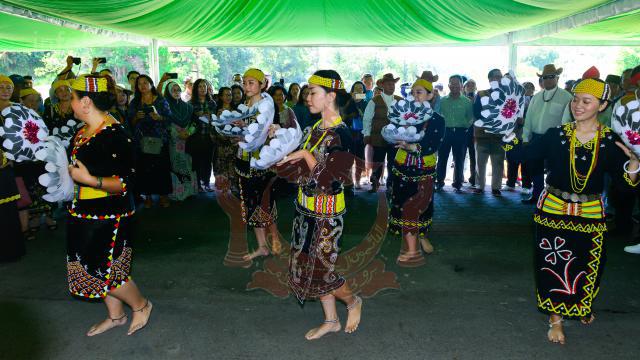INFODEPT02-48