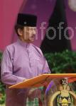 INFODEPT05-017