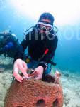 HRH Princess Sarah Underwater