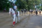190726_AZMI_00051