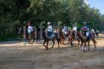 190726_AZMI_00053