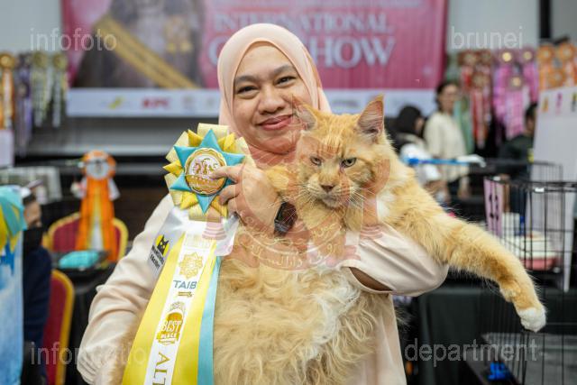 AHA-19072026-013