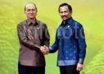 AMPUAN_13