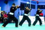 270514_ACARA SILAT KATEGORI SENI