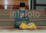 HAMZAH-008