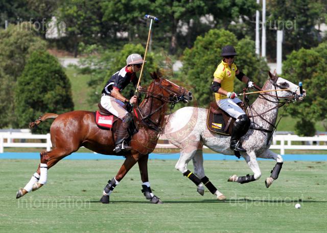 AHA_SG_POLO_02