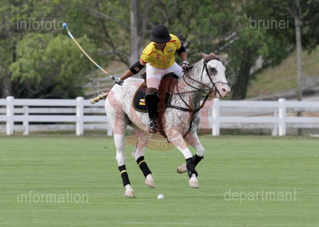 AHA_SG_POLO_009