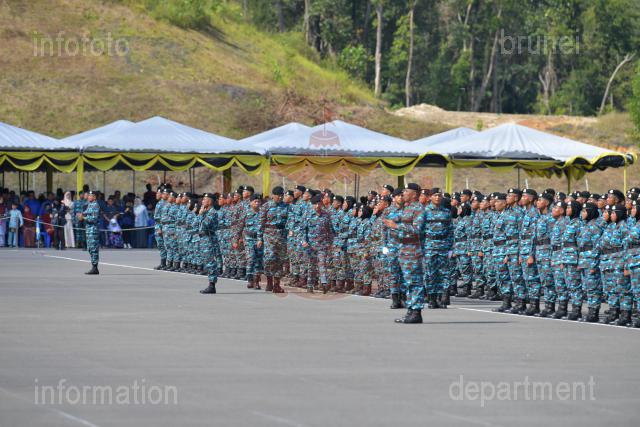 INFODEPT01-012