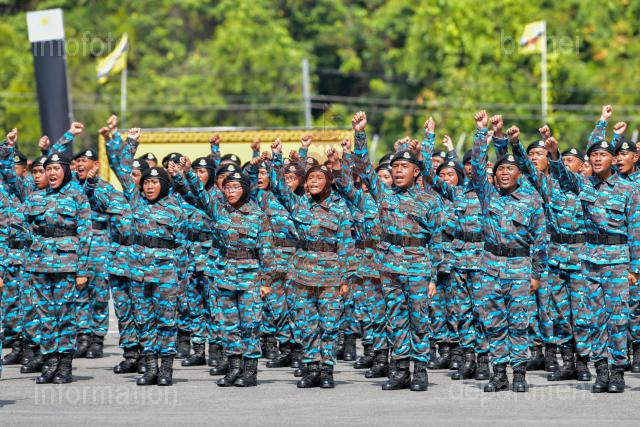 INFODEPT01-033