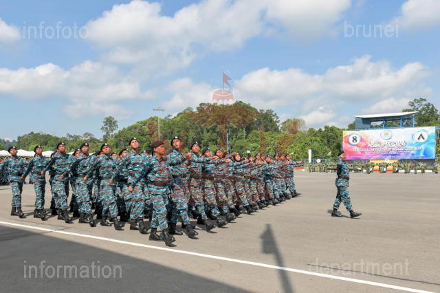 INFODEPT01-035